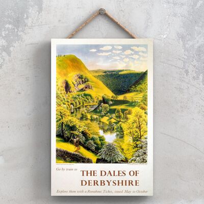 P0831 - Poster della ferrovia nazionale originale del Derbyshire The Dales Peak District su una targa con decorazioni vintage