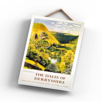 P0831 - Derbyshire The Dales Peak District Affiche originale des chemins de fer nationaux sur une plaque décor vintage 3