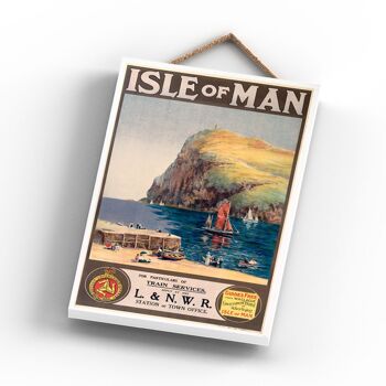 P0935 - Isle Of Man Particulars Affiche originale des chemins de fer nationaux sur une plaque décor vintage 3