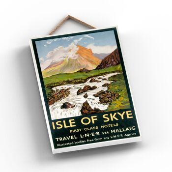 P0946 - Isle Of Skye Hotels Affiche originale des chemins de fer nationaux sur une plaque décor vintage 2