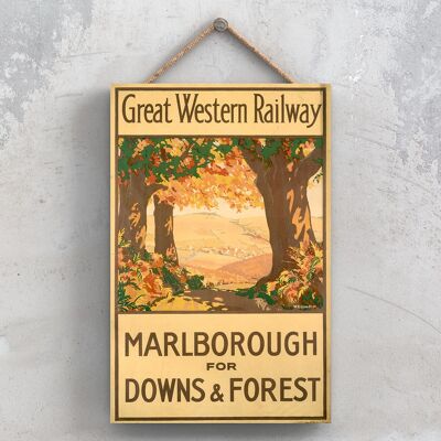 P1008 - Cartel original del ferrocarril nacional de Marlborough Downs Forest en una placa de decoración vintage