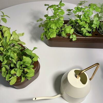 Urban Gardening Kit: Kork-Pbox semi-hydroponische urbane Gemüsegarten Set