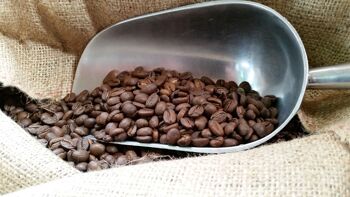 Cafés arabica bio  et équitable Mélange AMERIC'AIN  grain et moulu 10