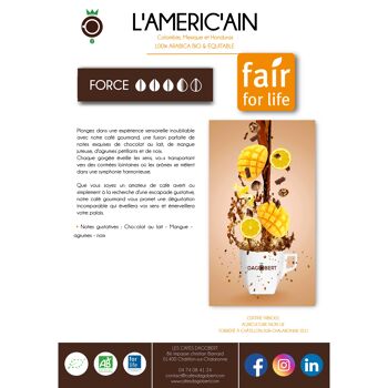 Cafés arabica bio  et équitable Mélange AMERIC'AIN  grain et moulu 3