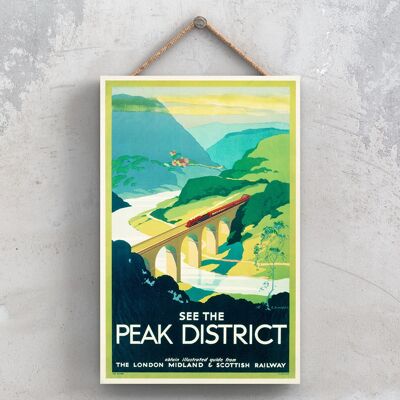 P1046 - Peak District S R Rwyatt Affiche originale des chemins de fer nationaux sur une plaque décor vintage