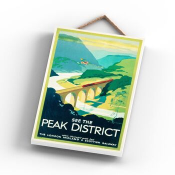 P1046 - Peak District S R Rwyatt Affiche originale des chemins de fer nationaux sur une plaque décor vintage 3
