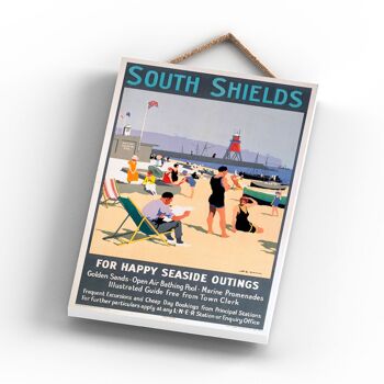 P1110 - Southsheilds Outings Affiche originale des chemins de fer nationaux sur une plaque décor vintage 3