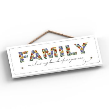 P1364 - Family Is Where My Bunch Of Crazies Are Spring Meadow Plaque à suspendre en bois 2
