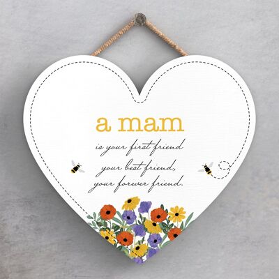 P1440 - A Mam Is Your Forever Friend Spring Meadow Theme Wooden Hanging Plaque