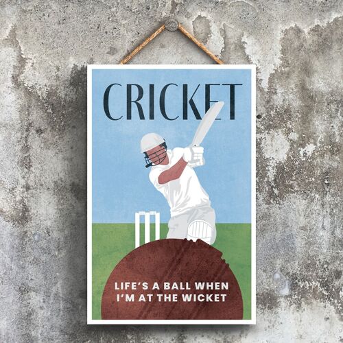 P1542 - Cricket Illustration Part Of Our Sports Theme Printed Onto A Wooden Hanging Plaque