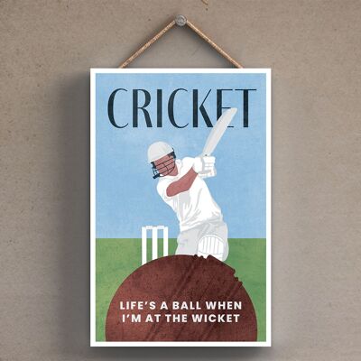 P1791 - Cricket Illustration Part Of Our Sports Theme Printed Onto A Wooden Hanging Plaque