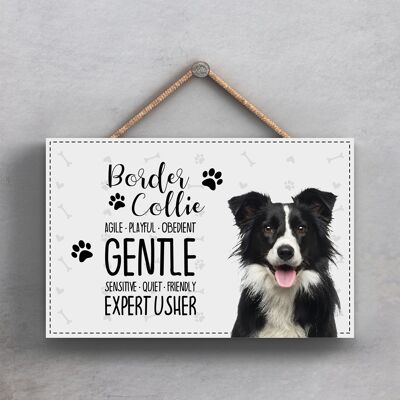 P1829 - Pets & Paws - Cuerda Placa Border Collie Características