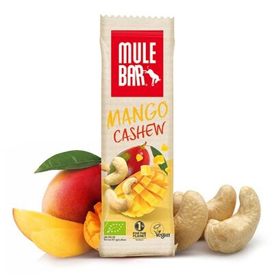 Organic & vegan cereal & fruit bar 40g: Mango - Cashew nuts