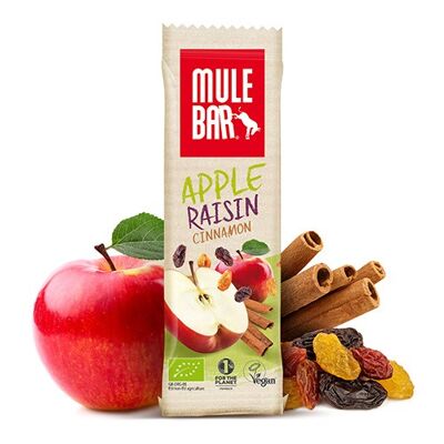 Organic & vegan cereal & fruit bar 40g: Apple - Cinnamon - Raisin