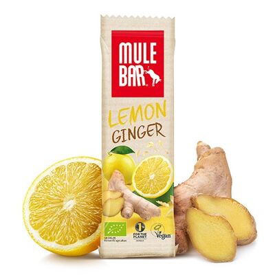 Organic & vegan cereal & fruit bar 40g: Lemon - Ginger