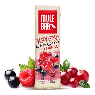 Barre céréales & fruits vegan 40g : Cassis - Cranberries - Framboises