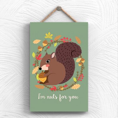 P1970 - Im Nuts For You Squirrel Artwork Decorative Hanging Plaque