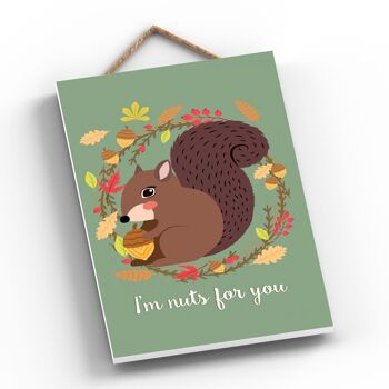 P1970 - Im Nuts For You Squirrel Artwork Plaque à suspendre décorative 2