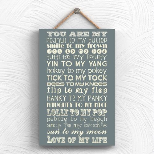 P1974 - The Peanut To My Butter Typography Decorative Hanging Plaque