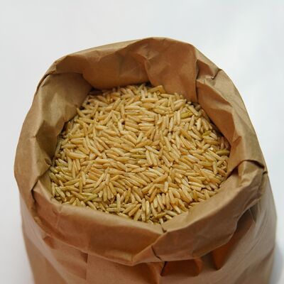 Natura di riso biologico a chicco lungo