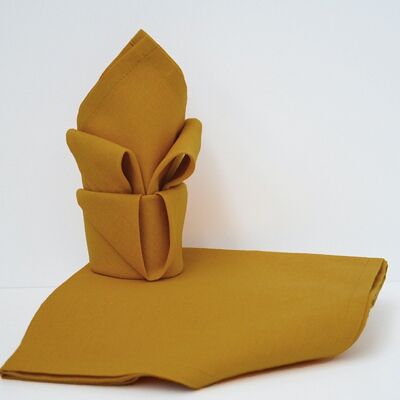 CURRY ARCOBALENO LOTTO 12 SERV.44x44
