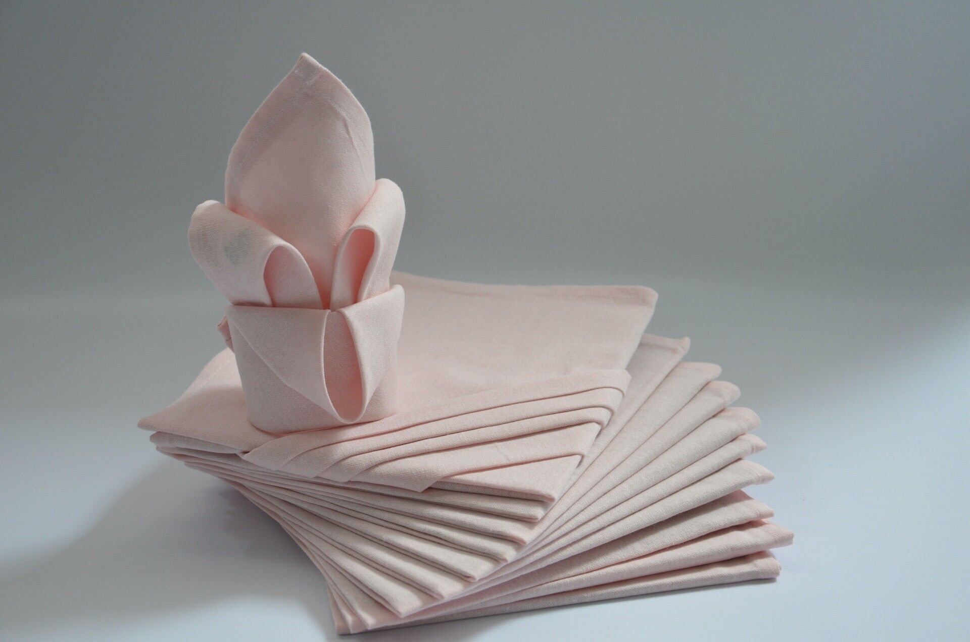 REGENBOGEN PINK PASTELL LOT 12 SERV.44x44