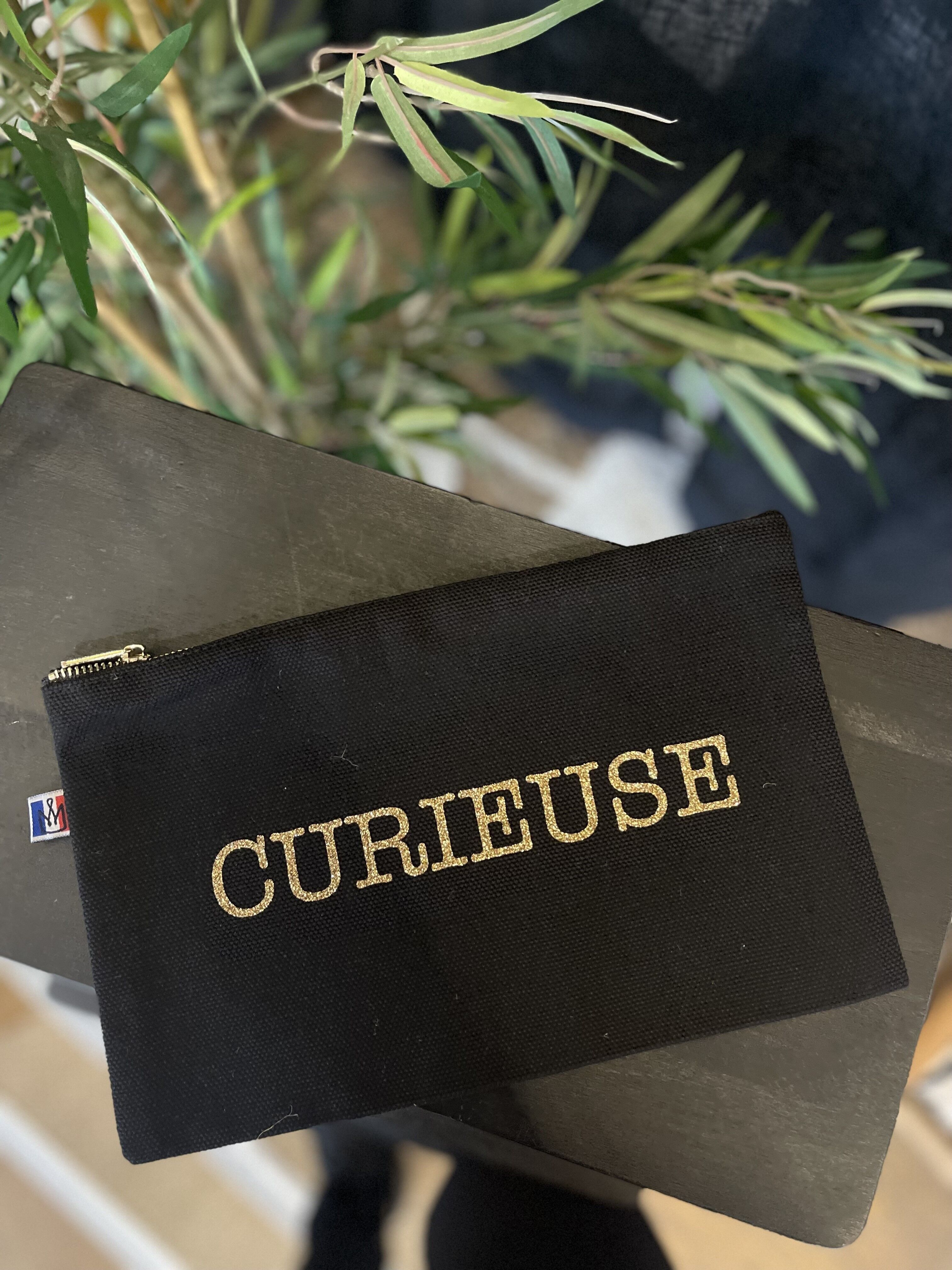 "Curieuse" Black Zipped Pouch