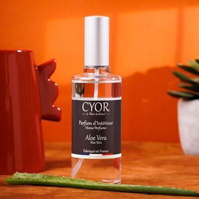 Home fragrance Aloe Vera 100ml - Refillable