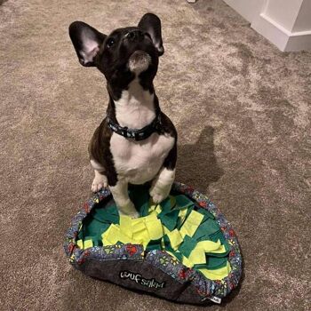 WufSalad - Snuffle Mat - Jouet interactif pour chien 9