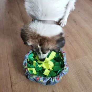 WufSalad - Snuffle Mat - Jouet interactif pour chien 17