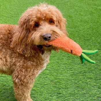 WufWuf - Crazy Carrot - Jouet en peluche pour chien 7