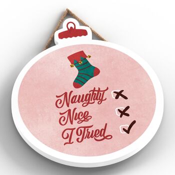 P2486 - Naughty, Nice, I Tryed Typography On A Babiole Shaped Wooden Hanging Plaque 2