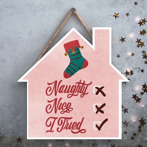 P2517 - Naughty, Nice, I Tried Typography On A House Shaped Wooden Hanging Plaque
