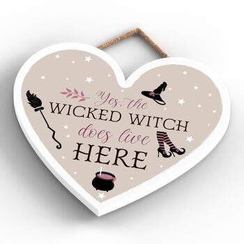 P2825 - Plaque à suspendre en bois sur le thème de la sorcellerie en forme de cœur de méchante sorcière 4