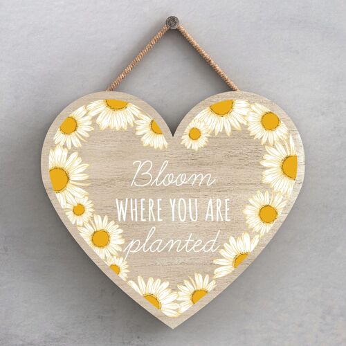 P3041 - Bloom Where You Are Bee Themed Decorative Wooden Heart Shaped Hanging Plaque