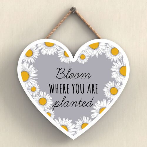 P3054 - Bloom Where You Are Grey Bee Themed Decorative Wooden Heart Shaped Hanging Plaque