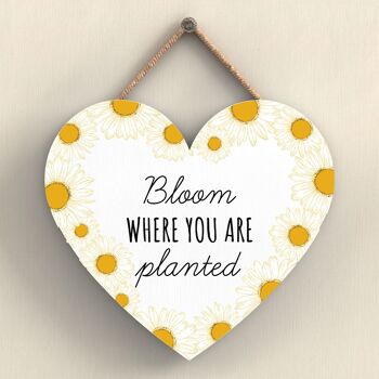 P3068 - Plaque à suspendre décorative en bois en forme de cœur sur le thème de l'abeille blanche Bloom Where You Are 1