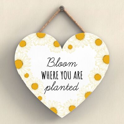 P3068 - Bloom Where You Are White Bee Themed Decorative Wooden Heart Shaped Hanging Plaque