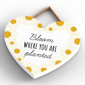 P3068 - Plaque à suspendre décorative en bois en forme de cœur sur le thème de l'abeille blanche Bloom Where You Are 4