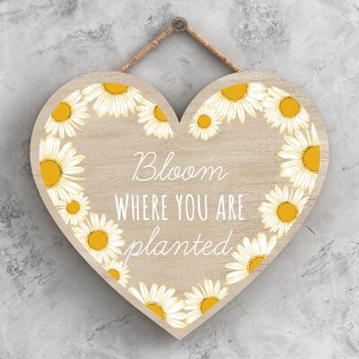 P3119 - Bloom Where You Are Bee Themed Decorative Wooden Heart Shaped Hanging Plaque