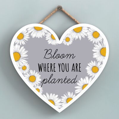 P3132 - Bloom Where You Are Grey Bee Themed Decorative Wooden Heart Shaped Hanging Plaque