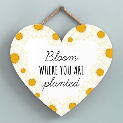 P3146 - Bloom Where You Are White Bee Themed Decorative Wooden Heart Shaped Hanging Plaque
