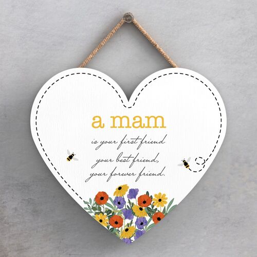 P3205-3 - Home Is Where My Mam Is Spring Meadow Theme Wooden Hanging Plaque