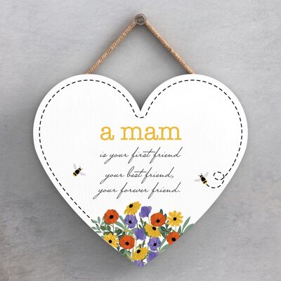 P3205-3 - Home Is Where My Mam Is Spring Meadow Theme Wooden Hanging Plaque