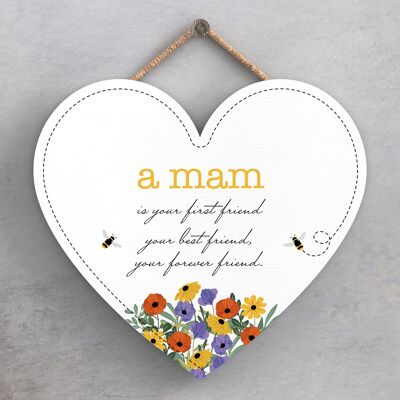 P3206-3 - Home Is Where My Mam Is Spring Meadow Theme Wooden Hanging Plaque