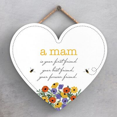 P3206-3 - Home Is Where My Mam Is Spring Meadow Theme Placa colgante de madera