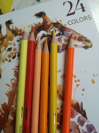 Boîte de 24 &  36 crayons de couleur pour dessin et peinture - 36 couleurs 2
