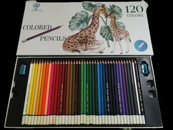 Boîte de 48 / 72 / 120 crayons de couleur évolutifs - 120 couleurs 2