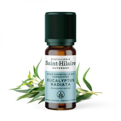 HUILE ESSENTIELLE EUCALYPTUS RADIATA BIO