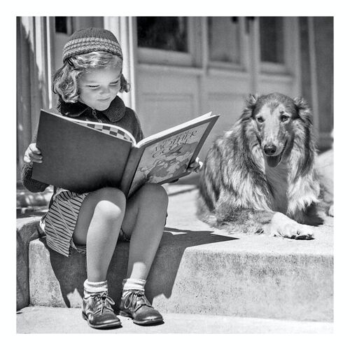 Blank greetings card - Reading together